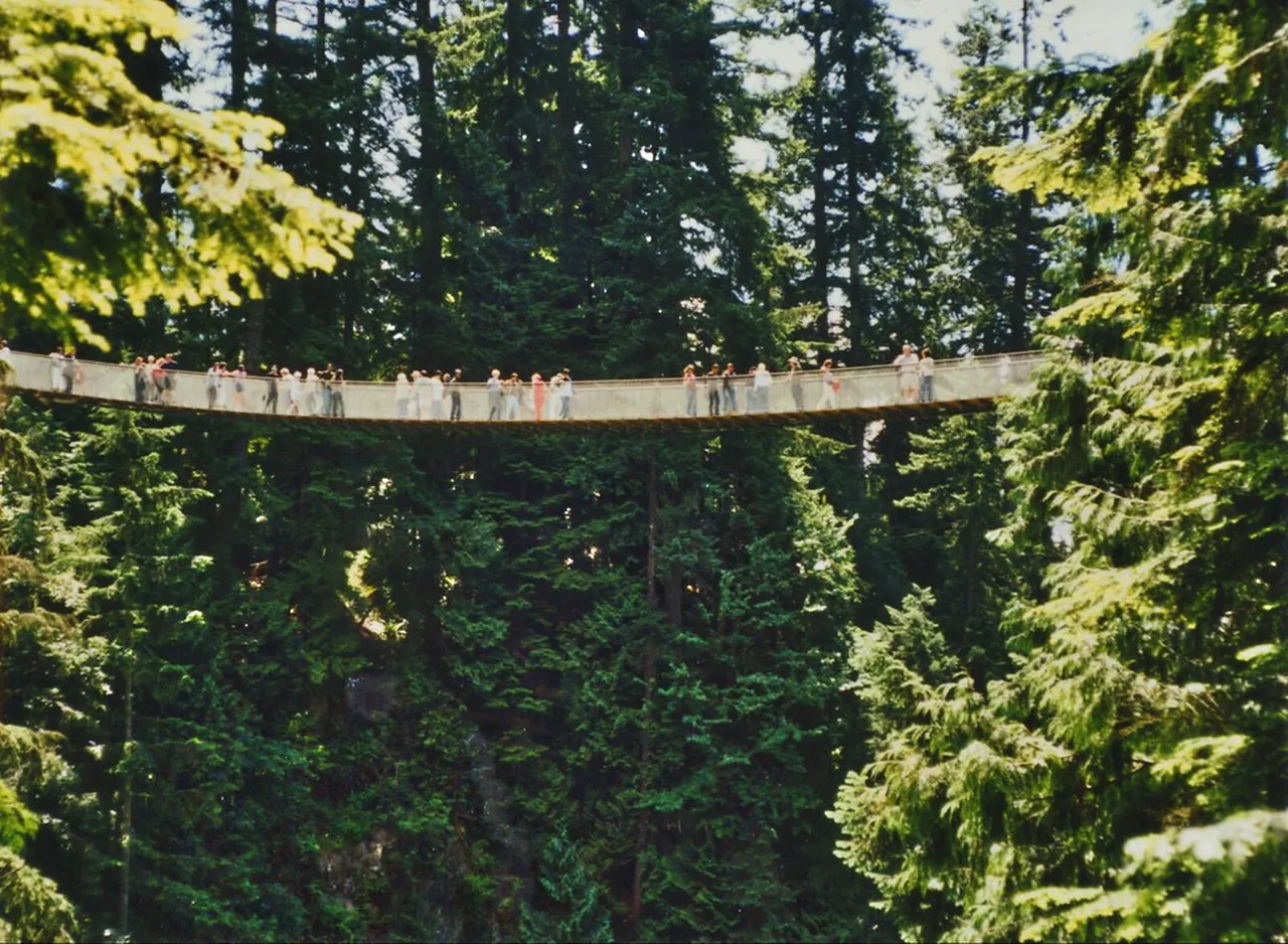 1. Discover Indigenous Culture: A Journey Through History