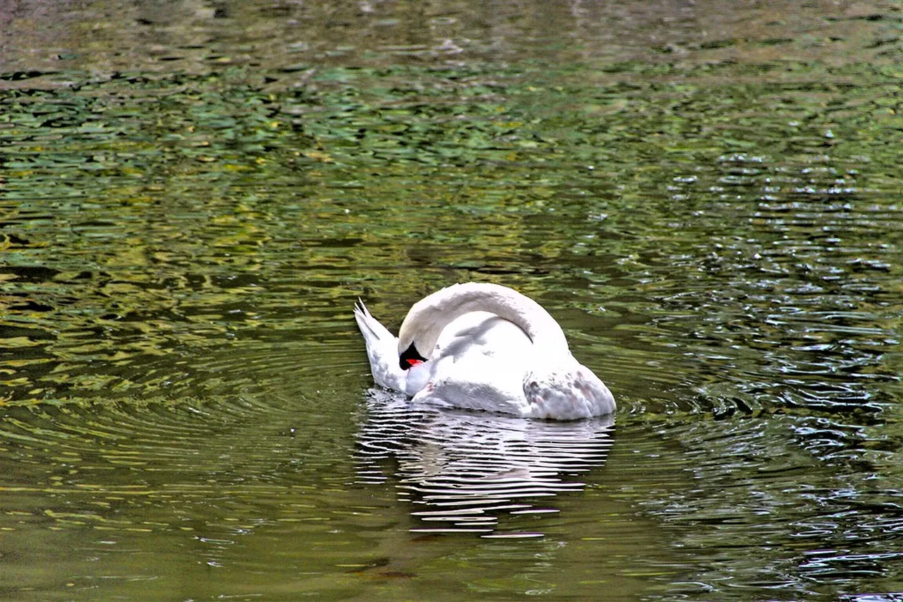 3. The Fairmont Empress: A Symbol of Elegance