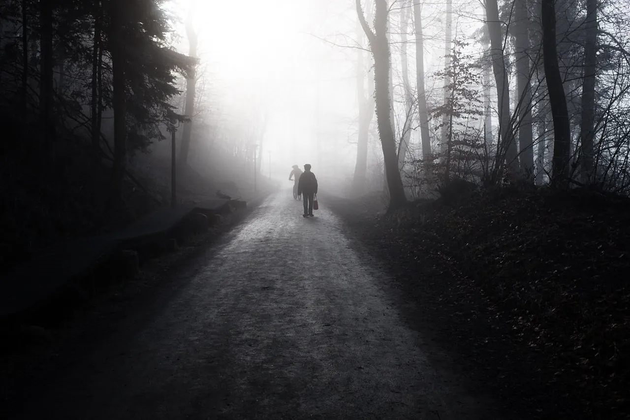 5. Go Hiking on Uetliberg: The Best Views of the City