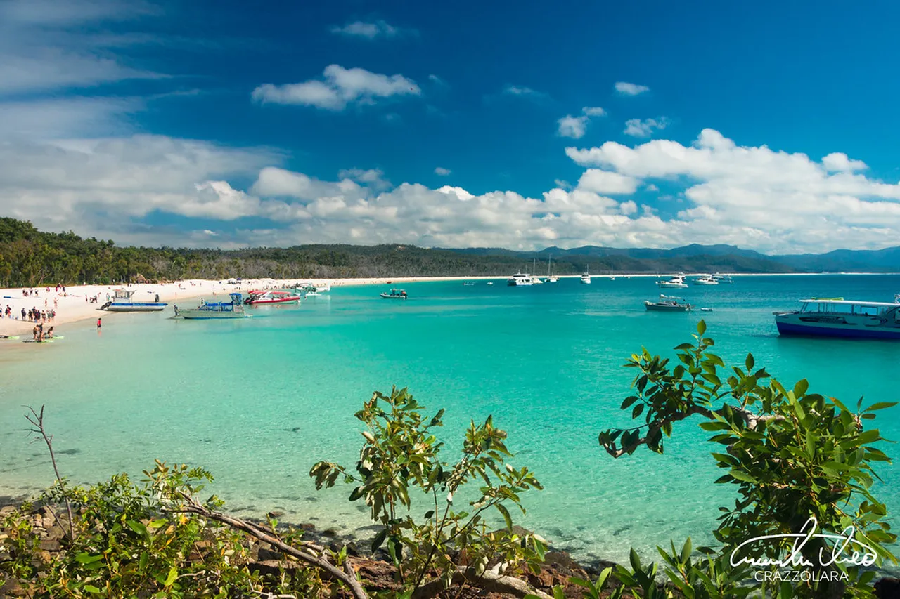 1. Discover the Pristine Beaches of Airlie Beach