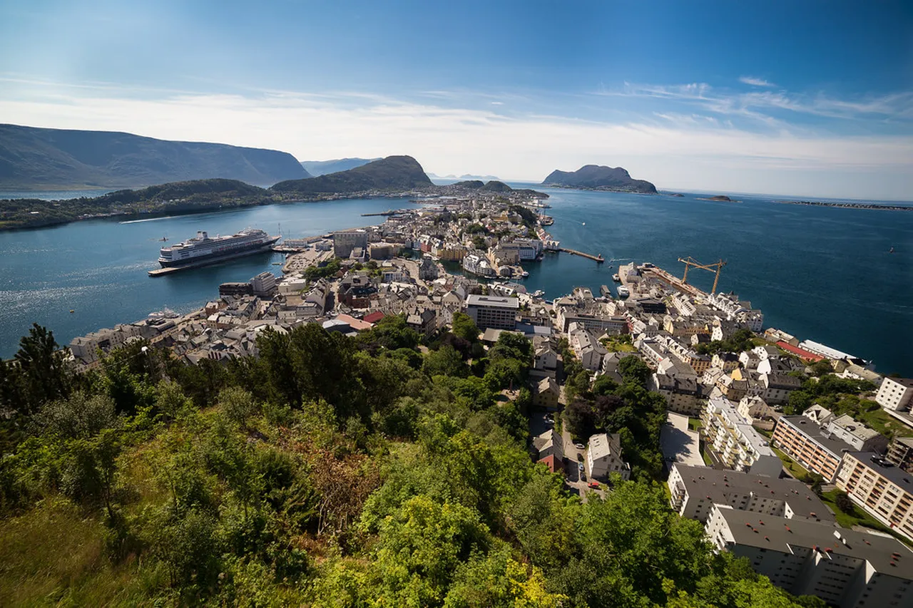 4. Experience the Wildlife on Runde Island