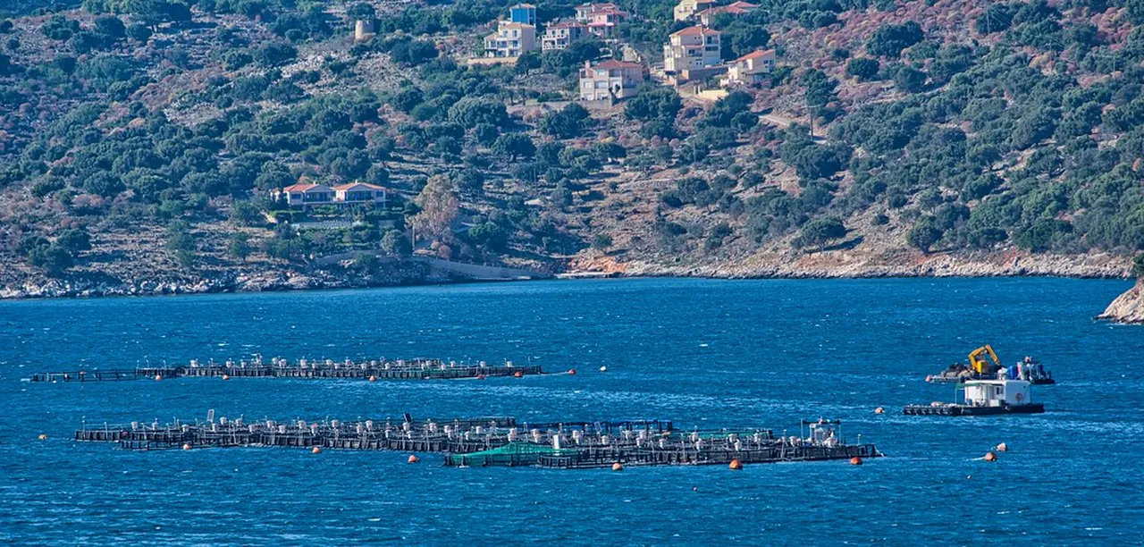 1. Discover the Beauty of Makris Gialos Beach: A Sun-Soaked Paradise