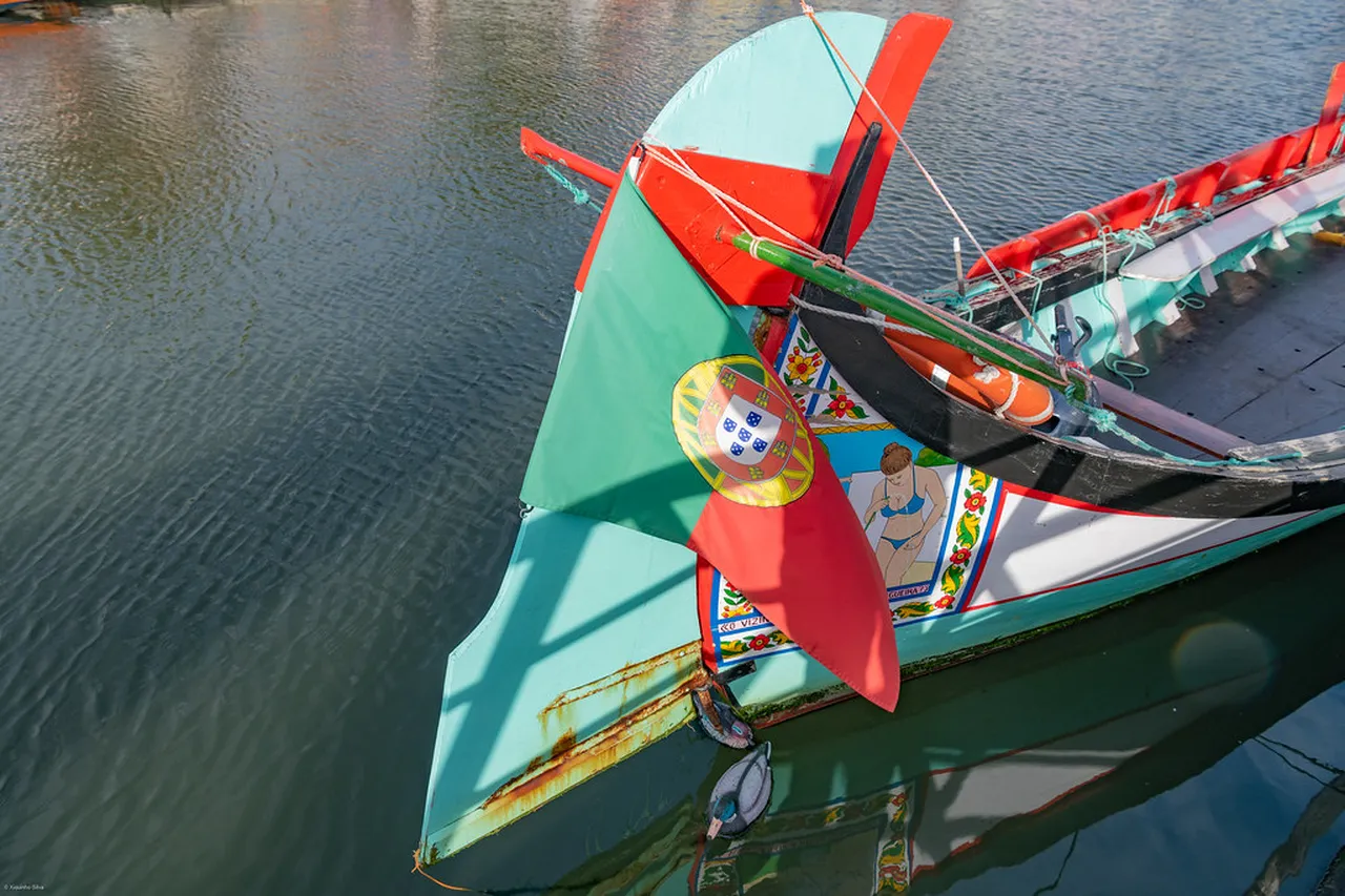 5. Experiencing Aveiro’s Fish Market: A Taste of Fresh Seafood