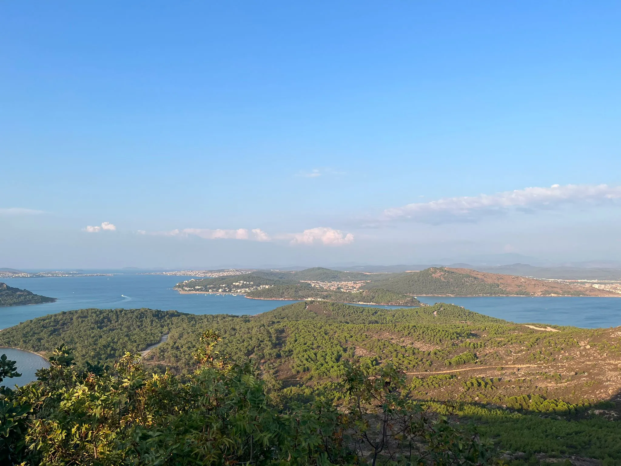 2. Savoring Ayvalık’s Olive Oil: A Culinary Journey