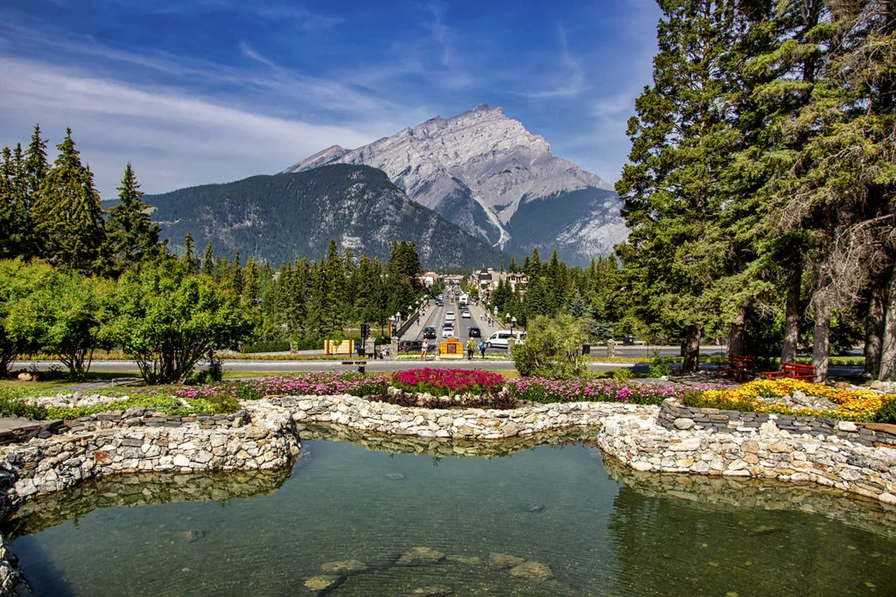 4. Wildlife Watching: Spotting Iconic Canadian Species
