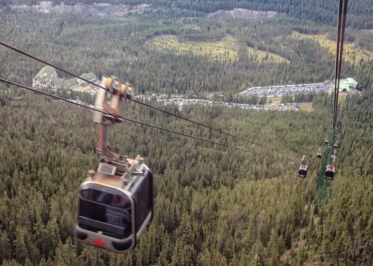 5. Explore the Banff Park Museum: A Journey Through Natural History