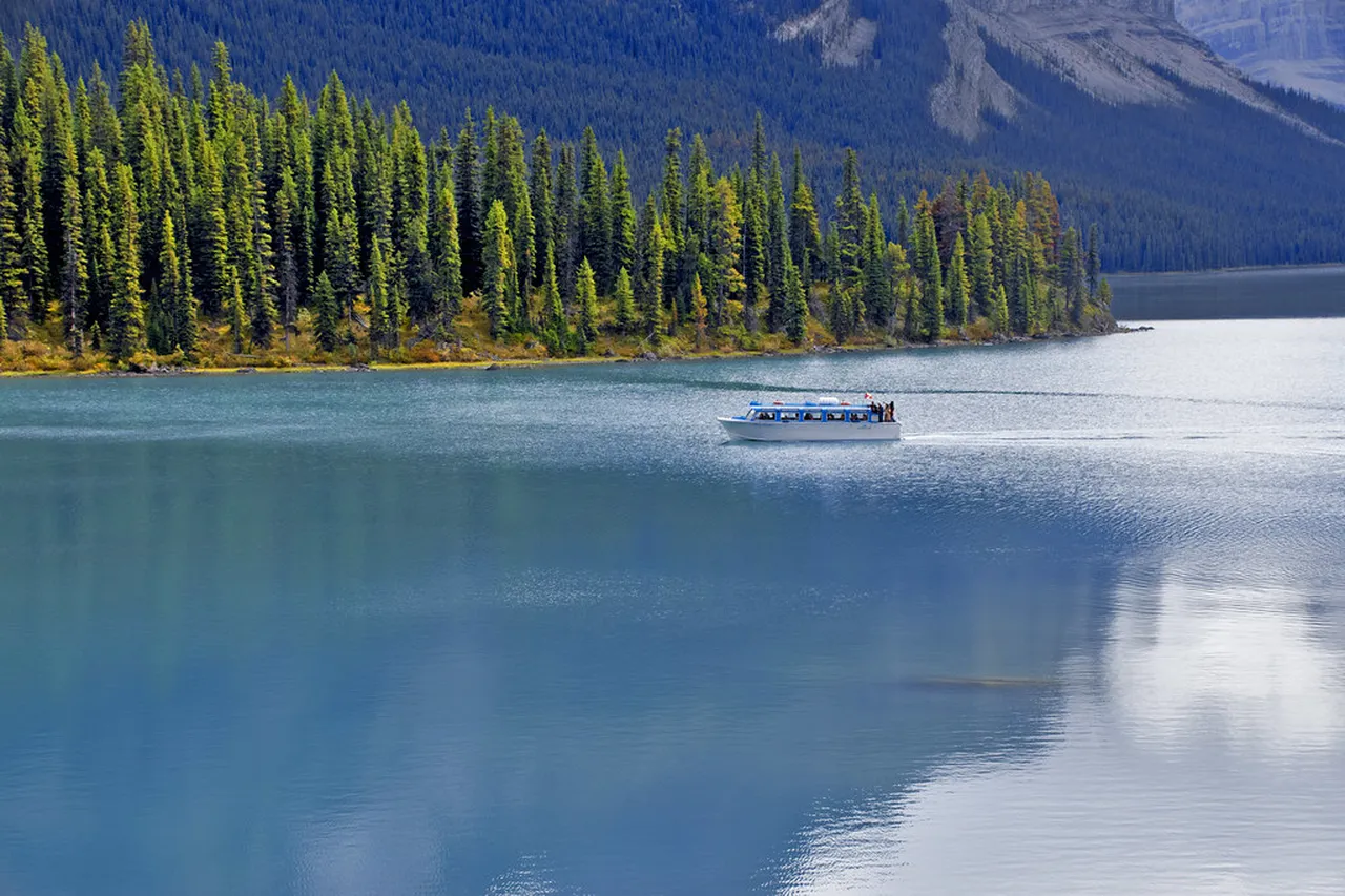 2. Discover the Charm of Banff Avenue: Local Shops and Cafes