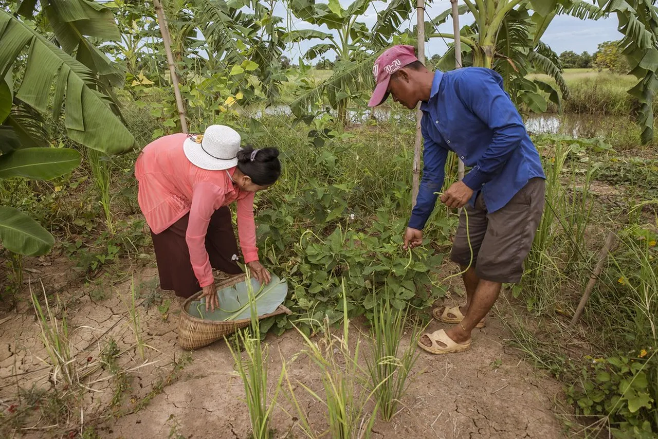 1. Visit the Bamboo Train: An Unforgettable Ride