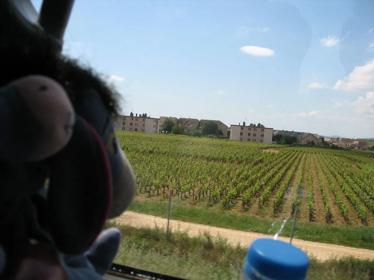 2. Exploring the Historic Hôtel-Dieu: A Slice of Renaissance