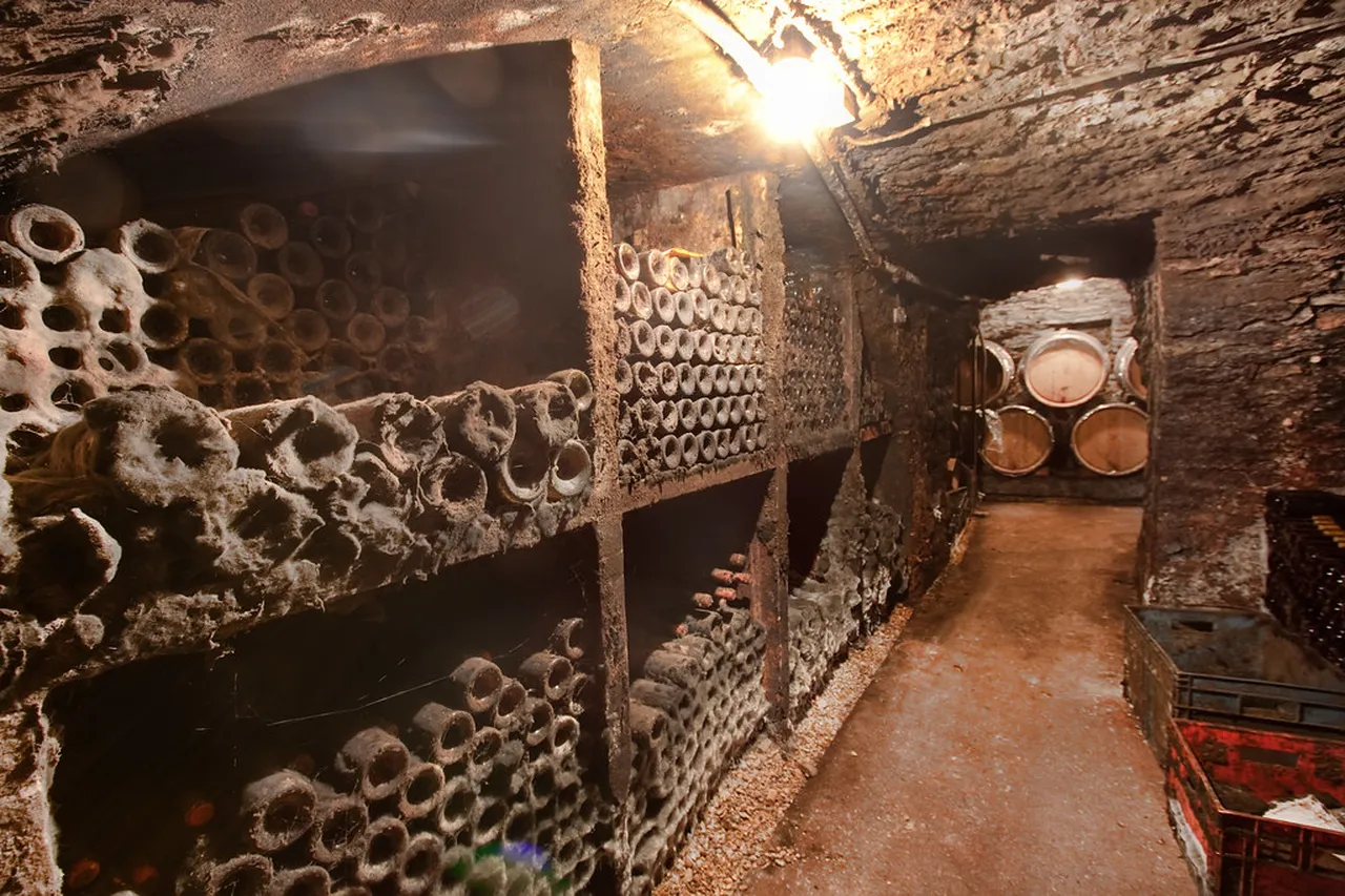 5. Participating in Les Grands Jours de Bourgogne: A Wine Lover’s Festival