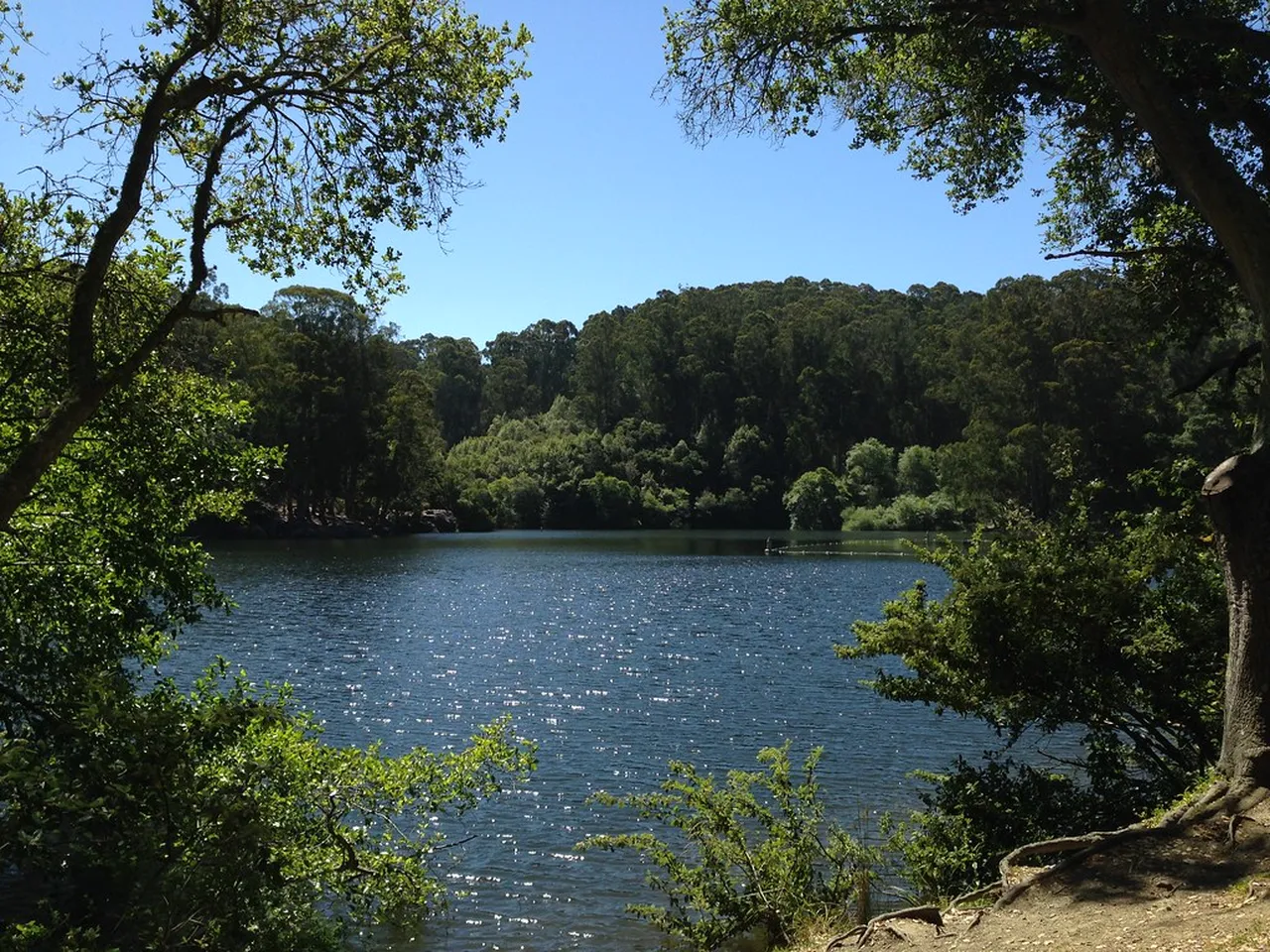 3. Indulge in Culinary Delights at Berkeley’s Gourmet Ghetto