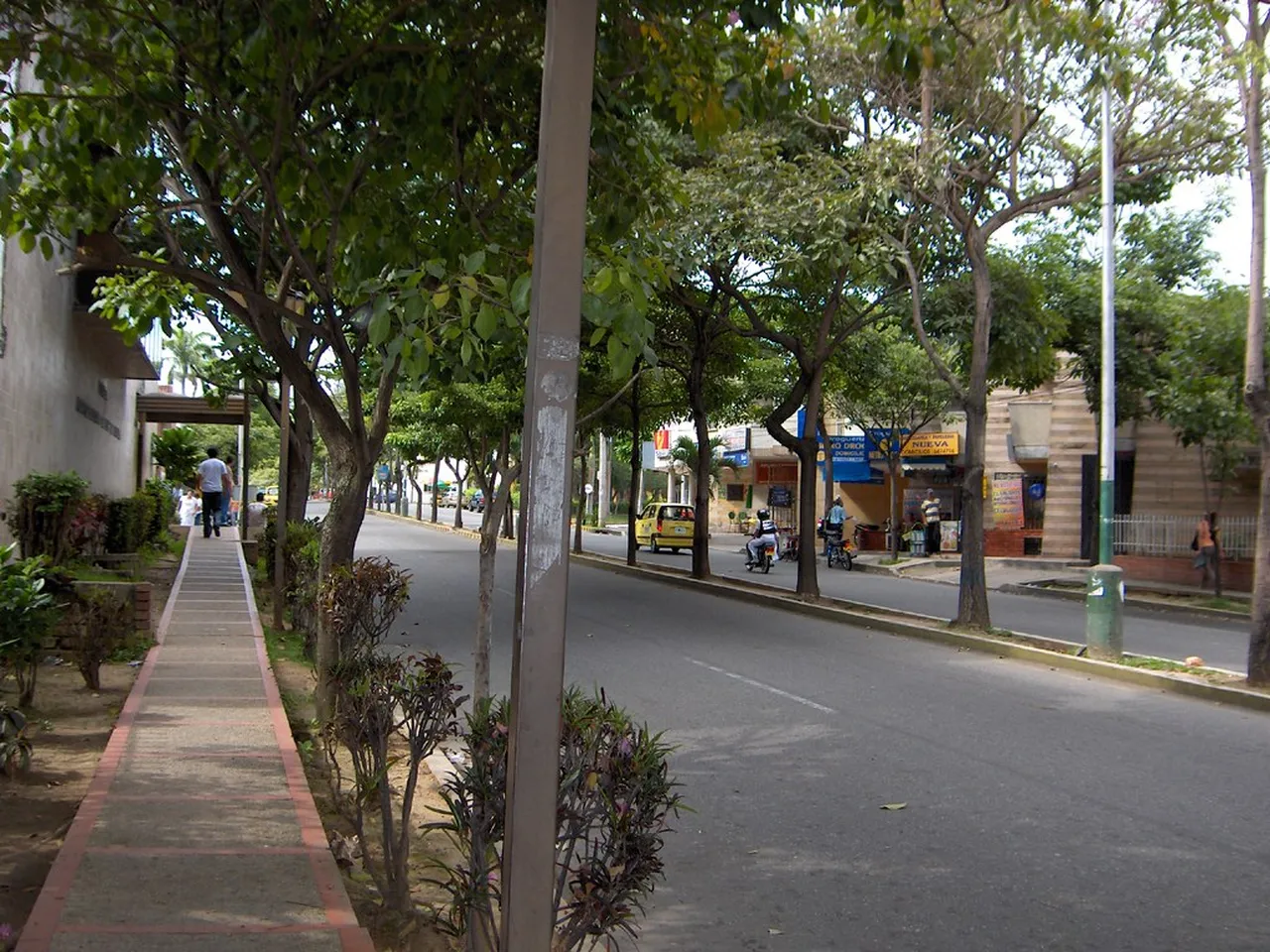 1. Savoring Bucaramanga Experiences: A Culinary Delight Tour