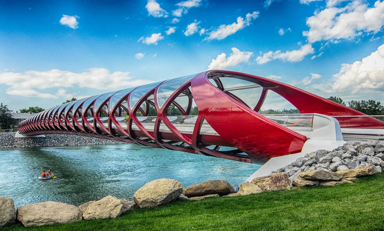 3. Visit the Calgary Zoo: Home to Wildlife and Conservation Efforts