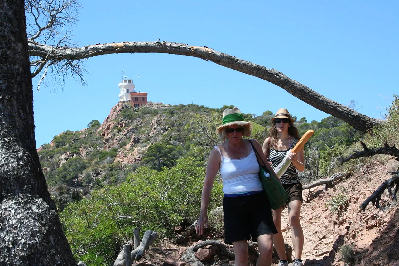 5. Indulging in Local Cuisine: A Culinary Adventure in Cannes