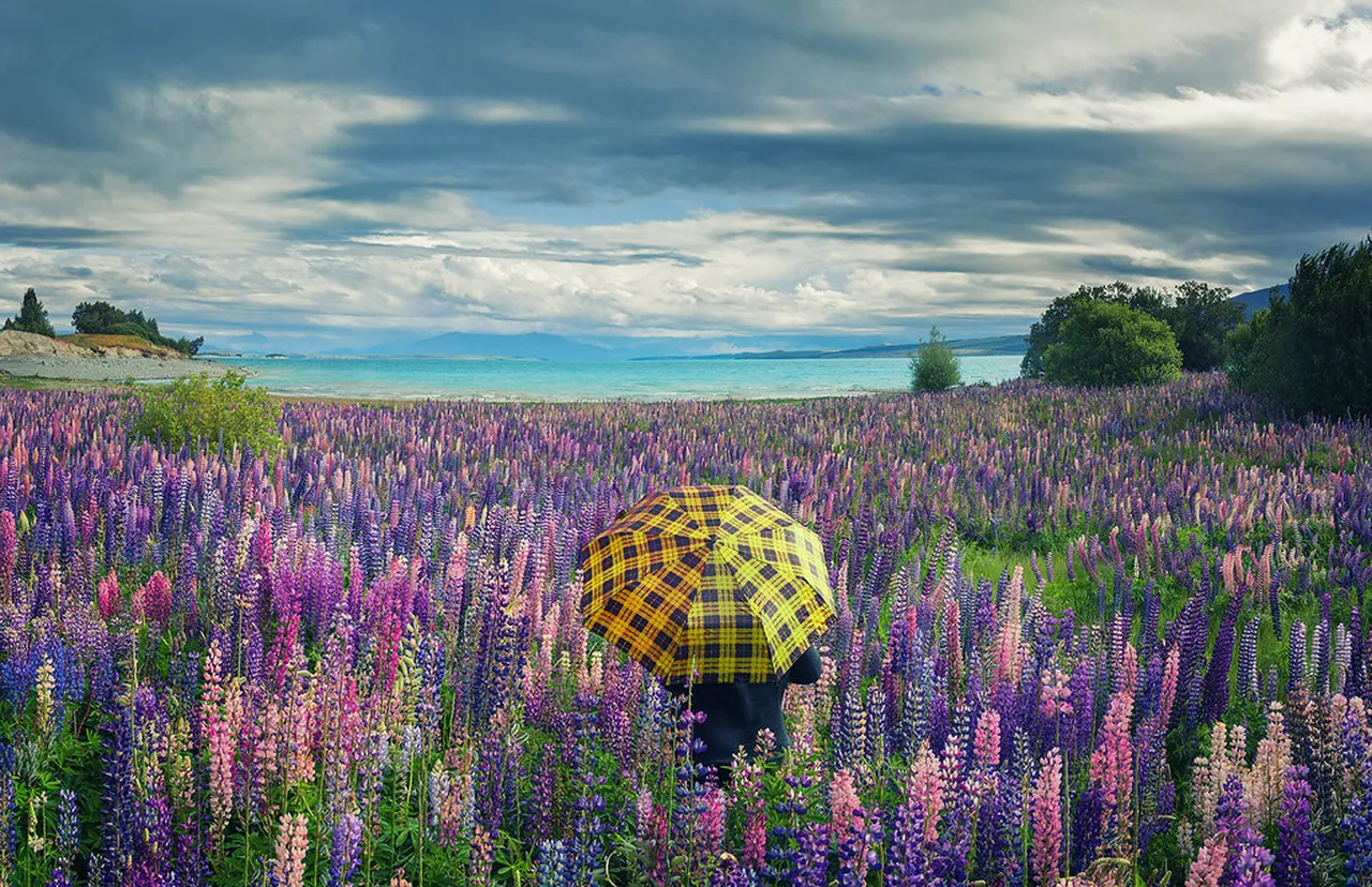 4. Take a Scenic Walk Along the River Stour: Nature’s Beauty