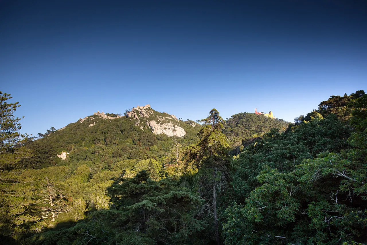4. Parque Marechal Carmona: A Serene Escape