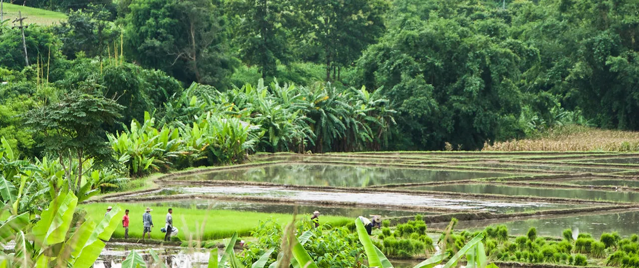 5. Adventure Hike through Doi Kuhn: Nature at Its Best