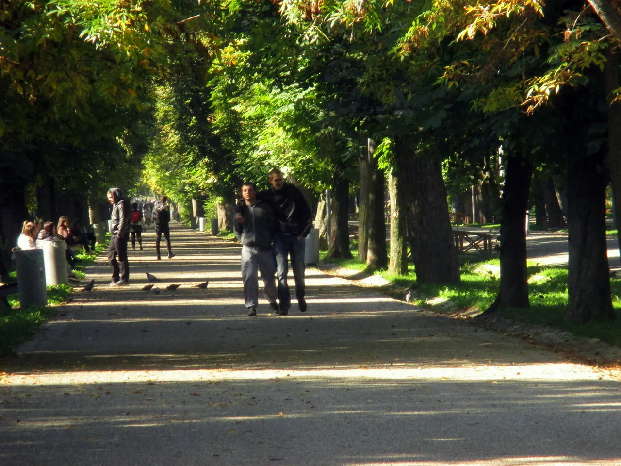 2. Experience the Unique Vivid Colors of Central Park