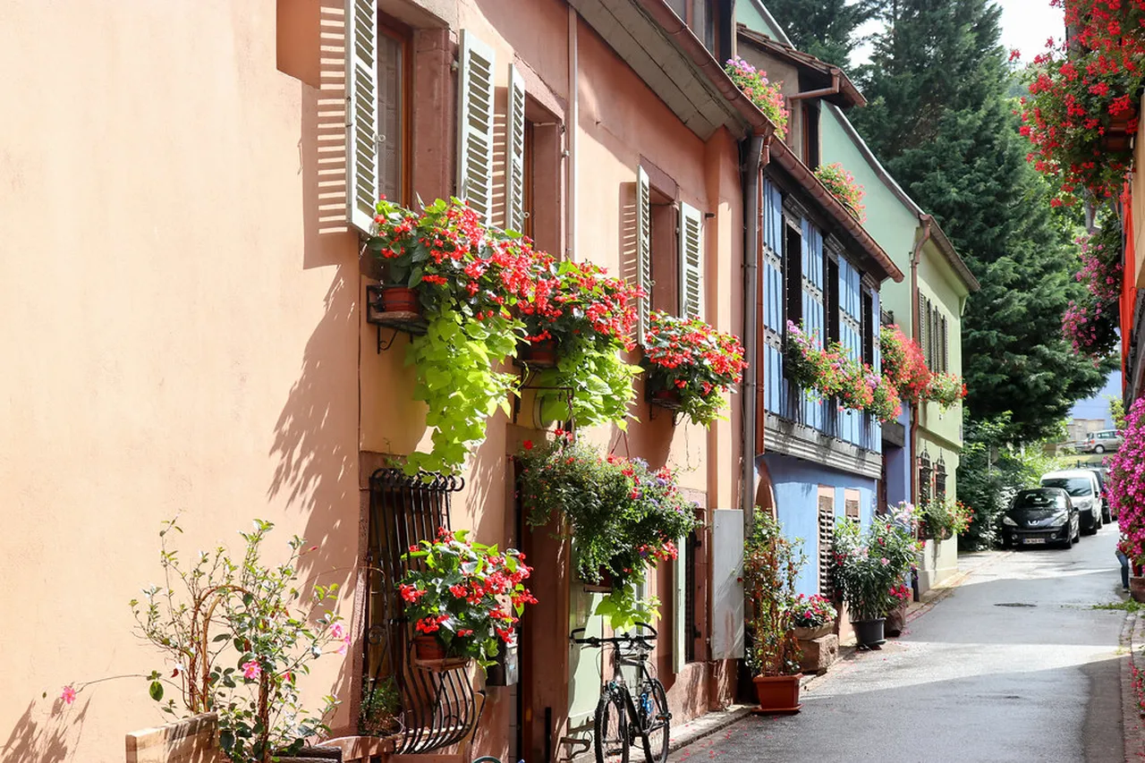 1. Explore Little Venice: Colmar’s Charming Waterfront