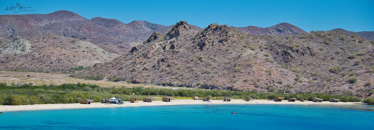 5. Taste Local Flavors at the Mercado Central