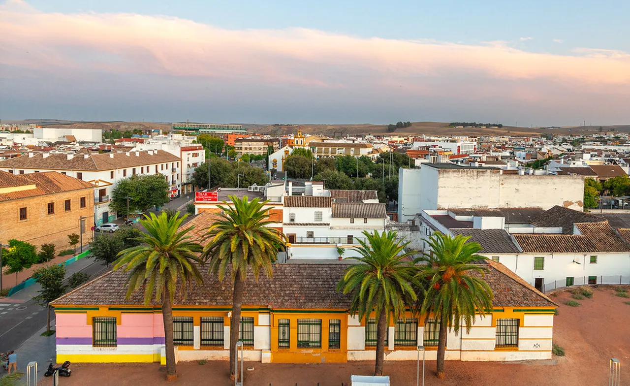 5. Experience the Vibrant Patio Festival: A Blooming Celebration