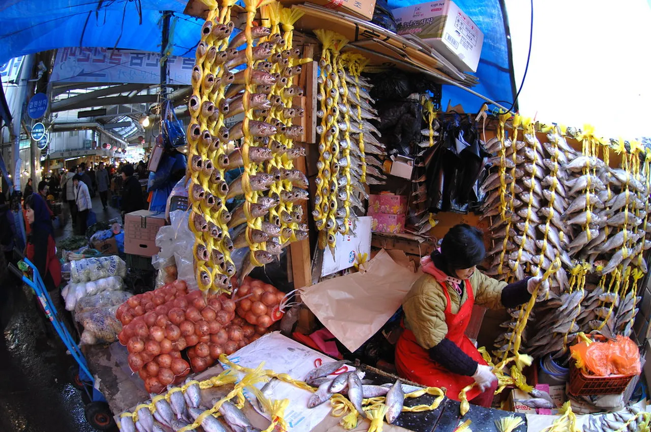 4. Festivals of Daegu: Celebrating Culture Through Events