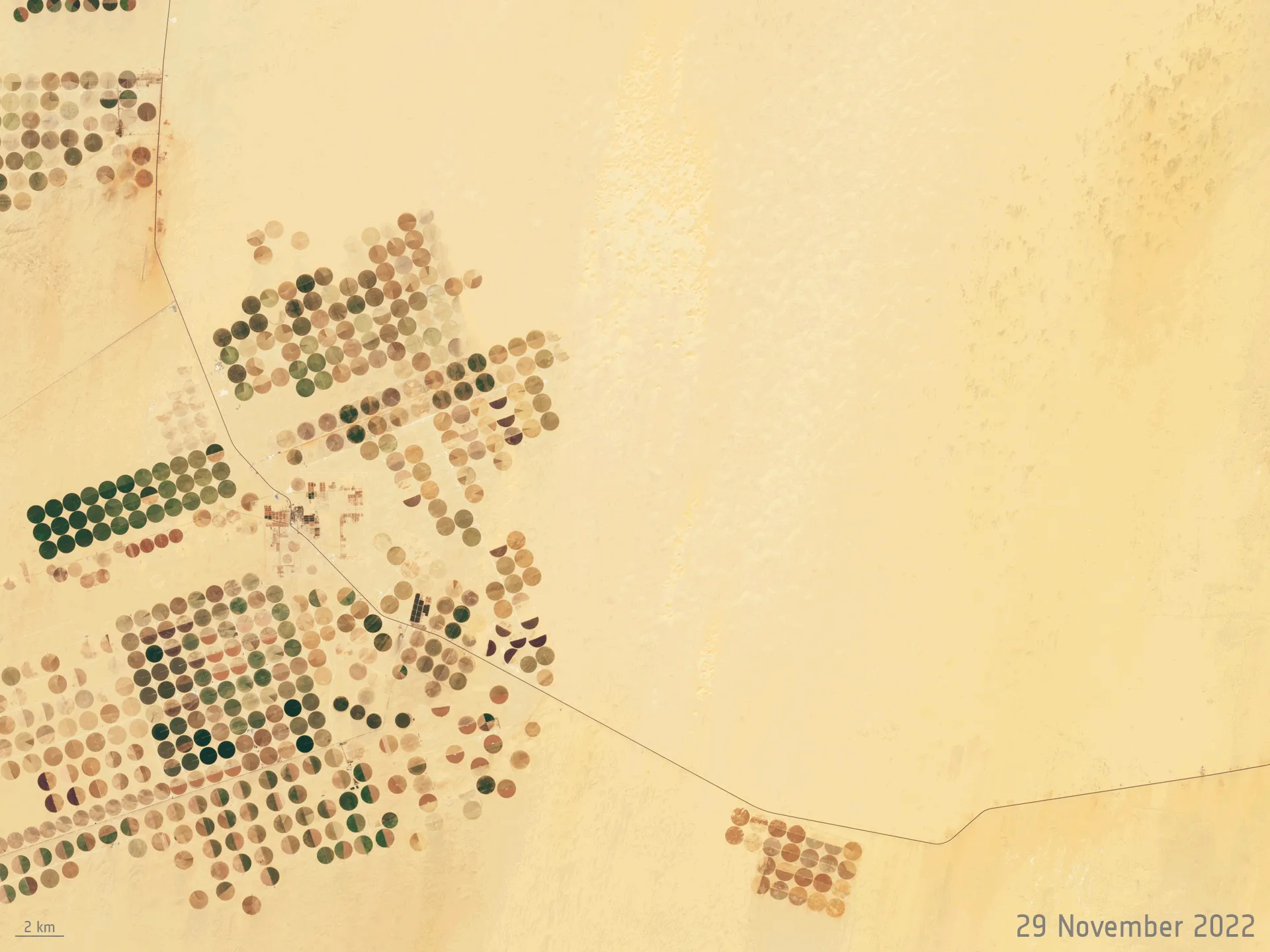 3. Exploring the Serenity of Dakhla’s Desert Safaris