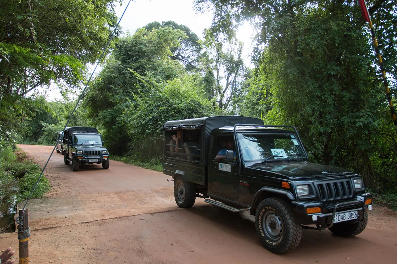 3. Hiking to Sigiriya Rock Fortress: An Iconic Adventure
