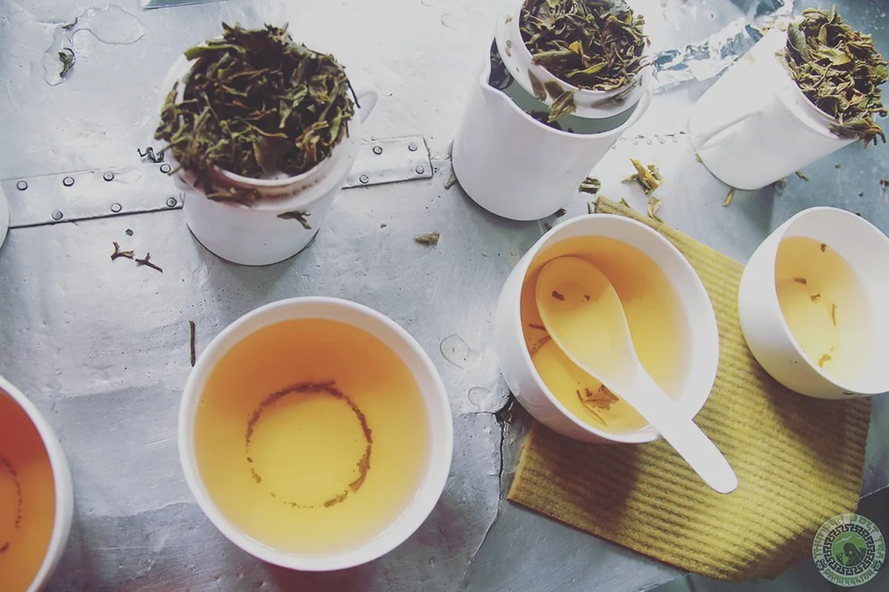 2. Tea Festival: A Journey into the Heart of Tea Production