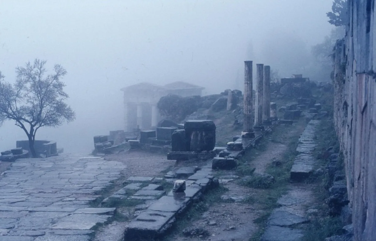 4. Greek Olive Oil Festival: Taste the Tradition