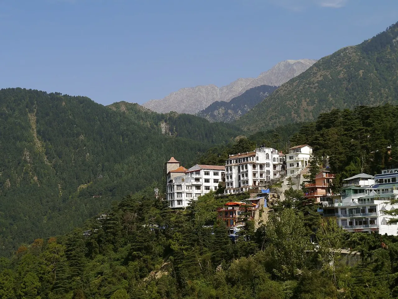 4. Engaging with Monastic Life: A Day in a Tibetan Monastery