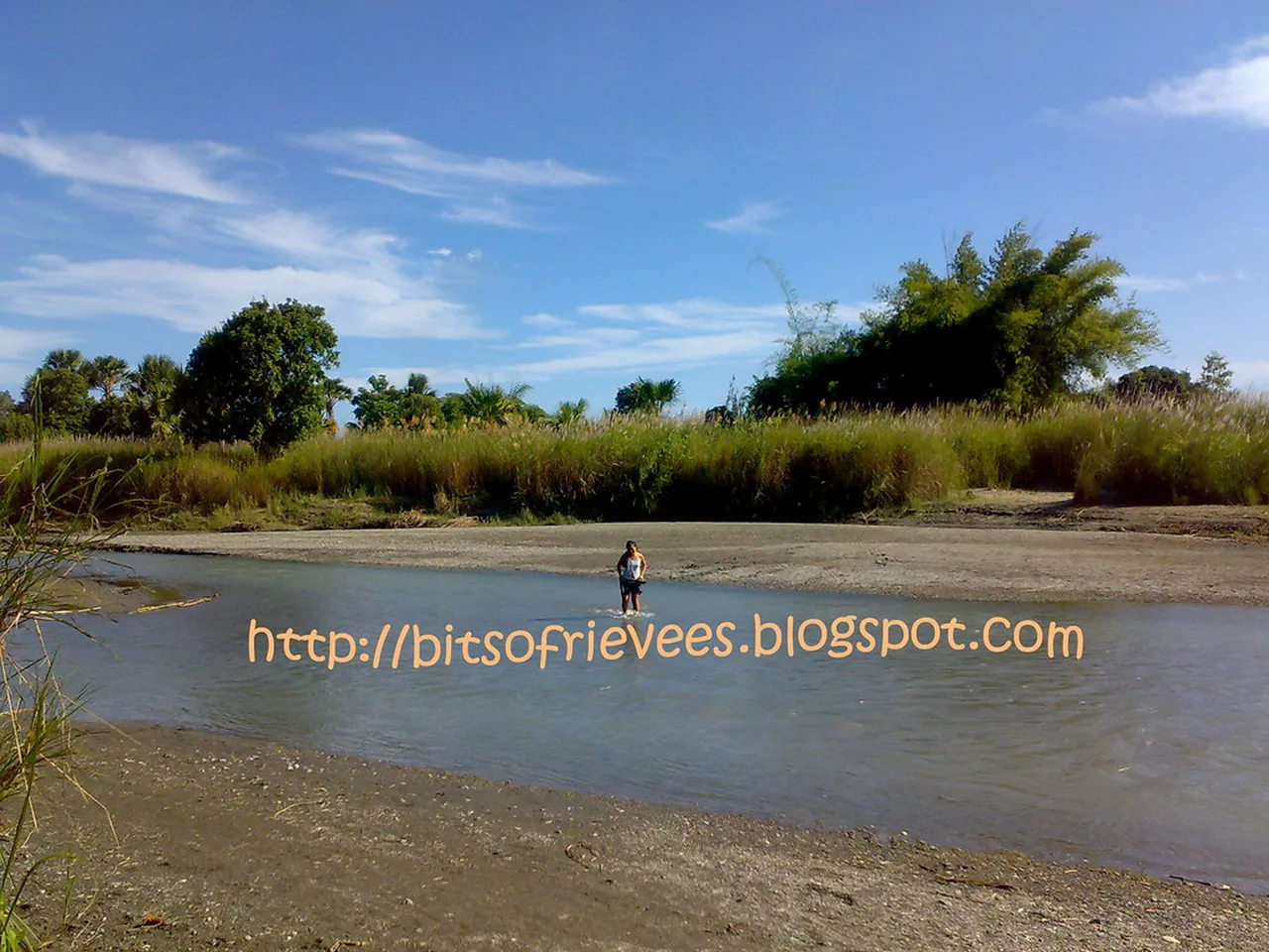 2. Snorkeling at Coral Gardens: A Marine Paradise in Dili