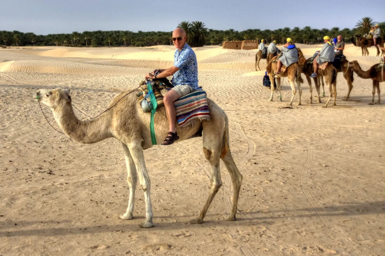 3. Explore the Chott el Jerid Salt Flats: Nature’s Mirror