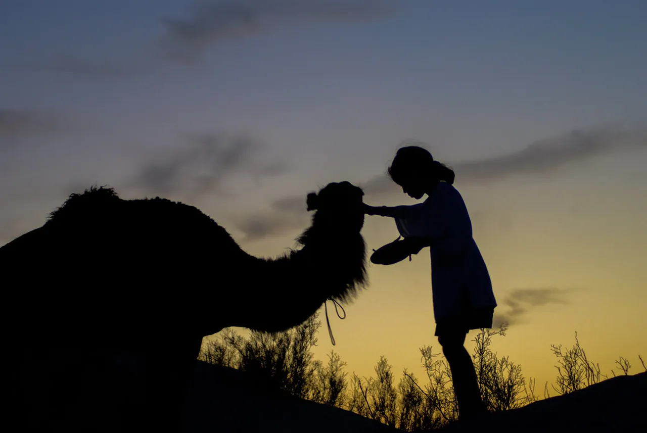 1. Experience the Thrill of Camel Trekking in Douz