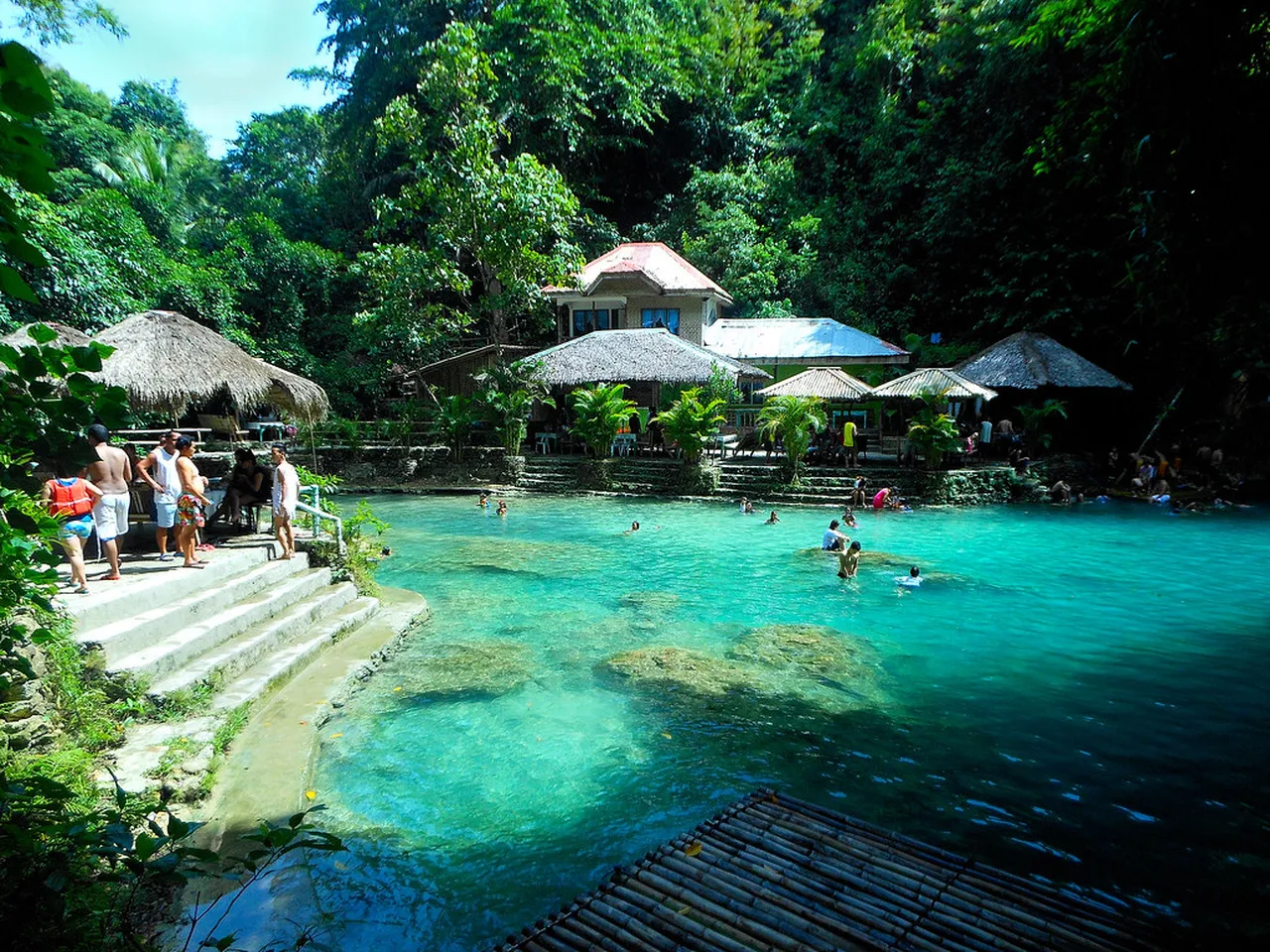 1. Discover the Scenic Beauty of Apo Island: A Diving Paradise