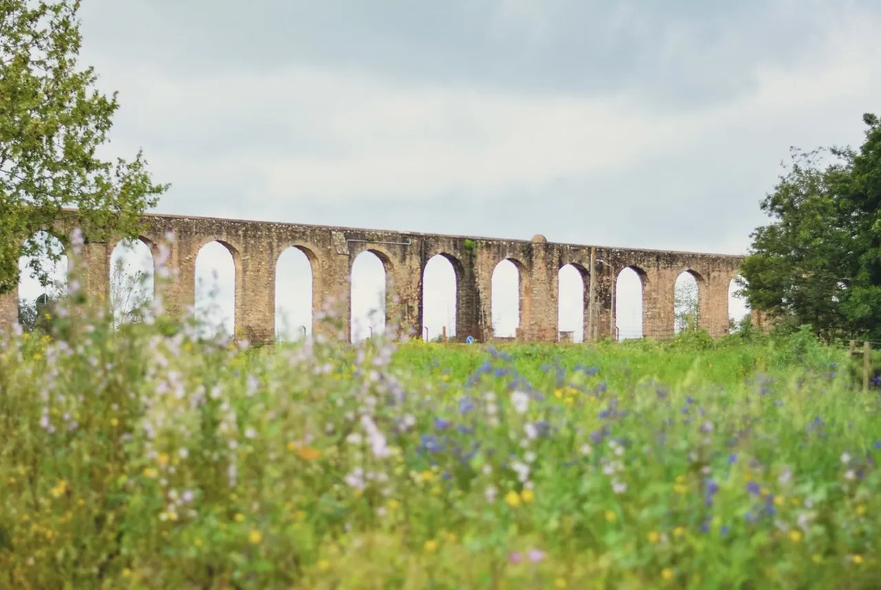 5. Savoring Alentejo Wine: Vineyards and Tasting Tours