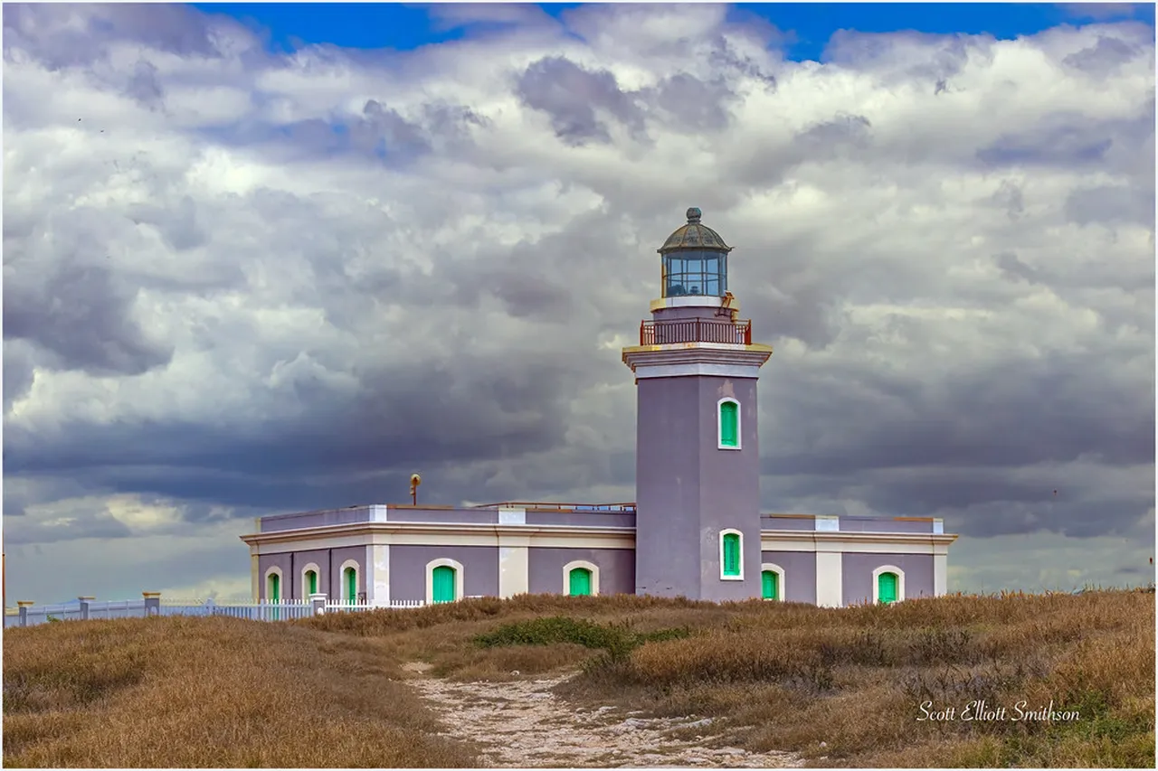 5. Discover the Ria Formosa Natural Park: A Haven for Wildlife and Nature Lovers