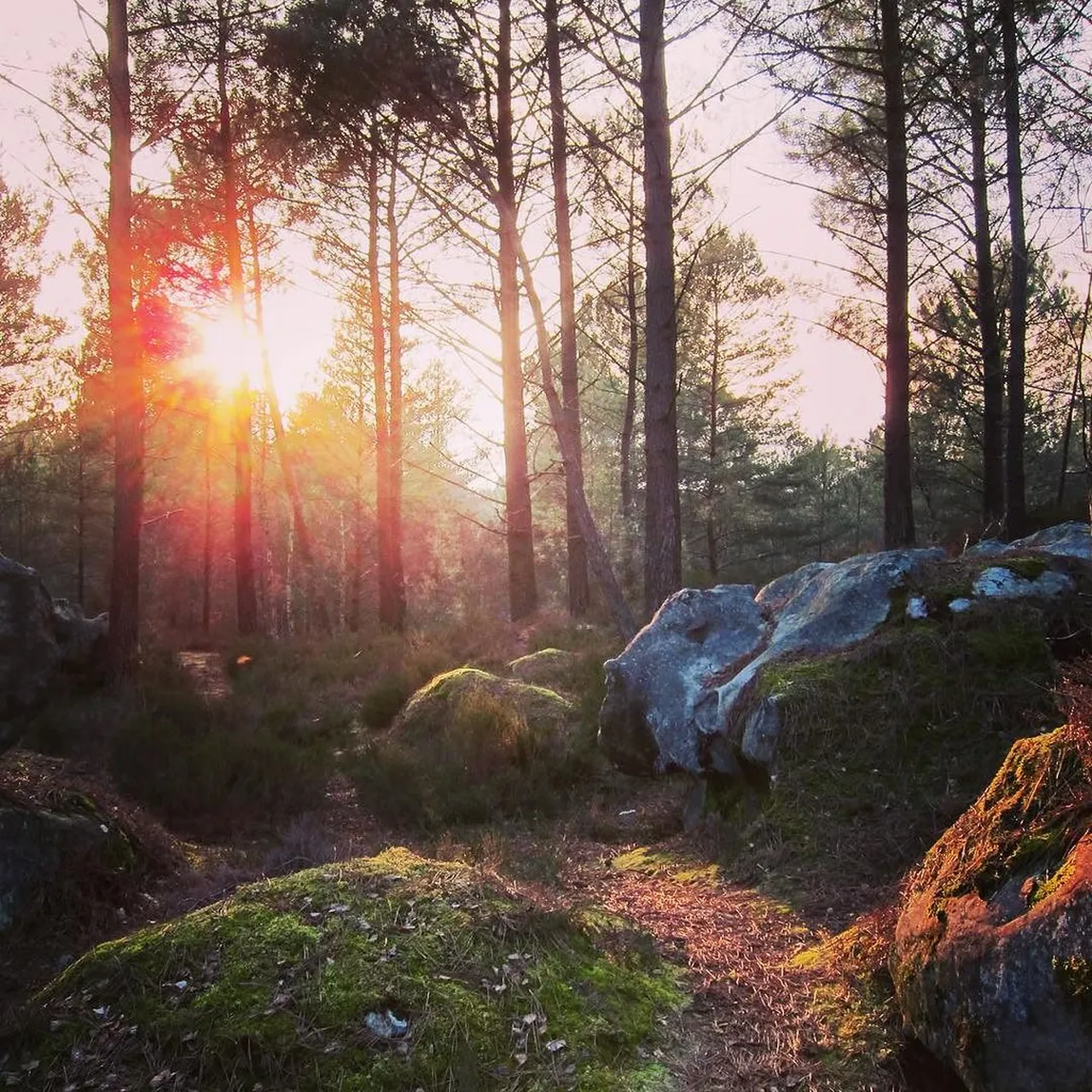 5. Indulging in Gastronomy: Culinary Delights of Fontainebleau