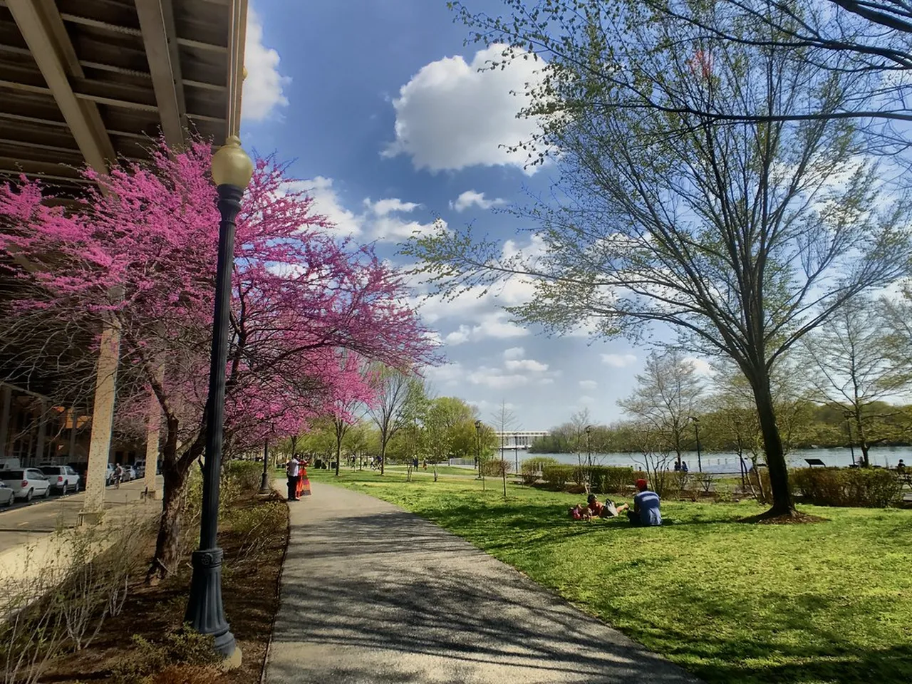 1. Explore the Historic Streets of Georgetown’s UNESCO Heritage Site