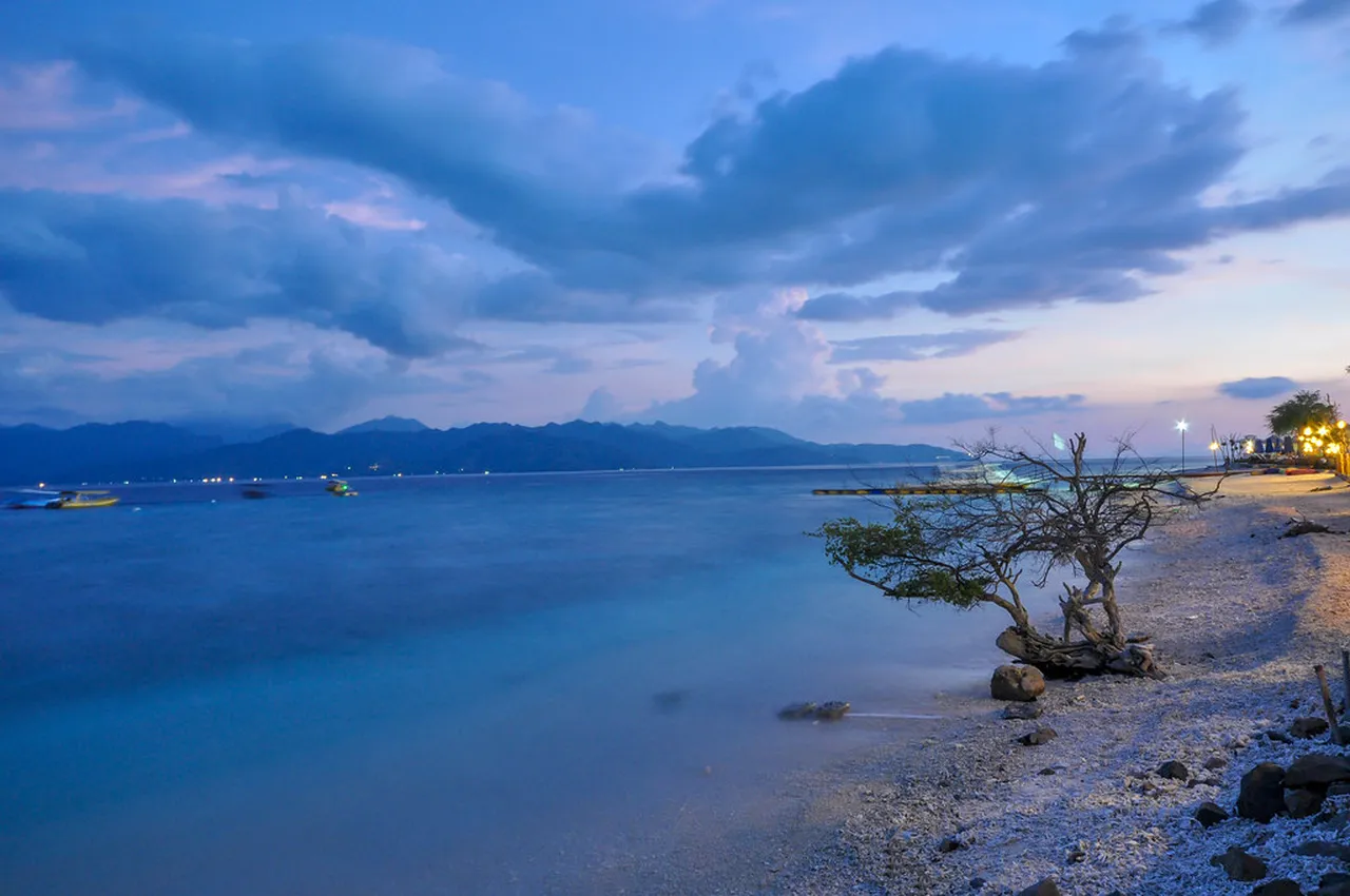1. Snorkeling Adventures: Discovering Underwater Wonders