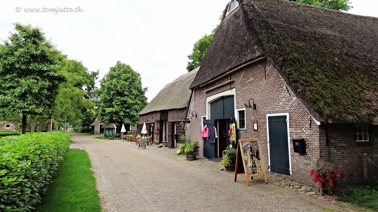 4. Explore the Beautiful Noorderplantsoen Park