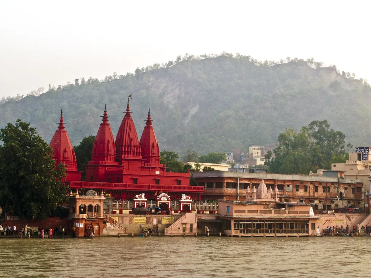5. Exploring Rajaji National Park: A Wildlife Adventure