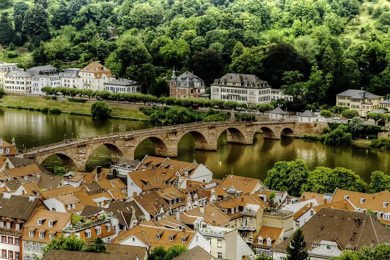 3. Explore the University of Heidelberg: A Center of Knowledge and Tradition