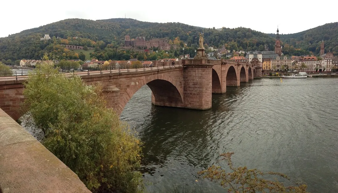 4. Experience the Vibrant Altstadt: A Blend of Culture and Cuisine