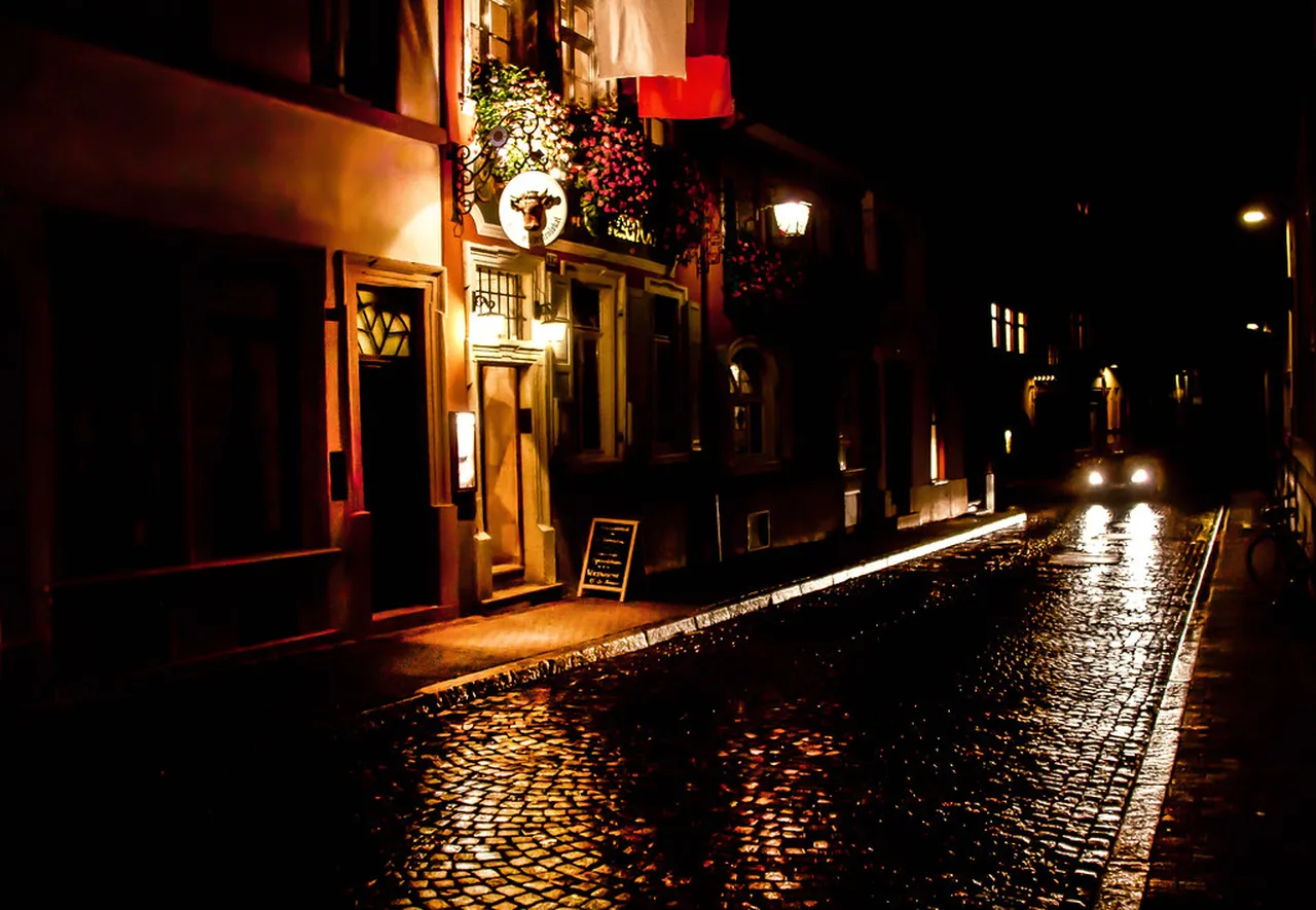 2. Discovering Heidelberg’s Cozy Pubs and Bars