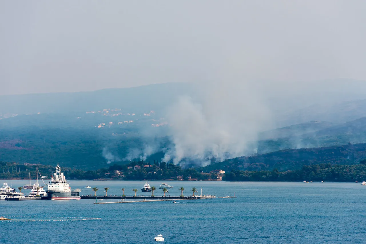 1. Herceg Novi Carnival: Colorful Parades and Festivities