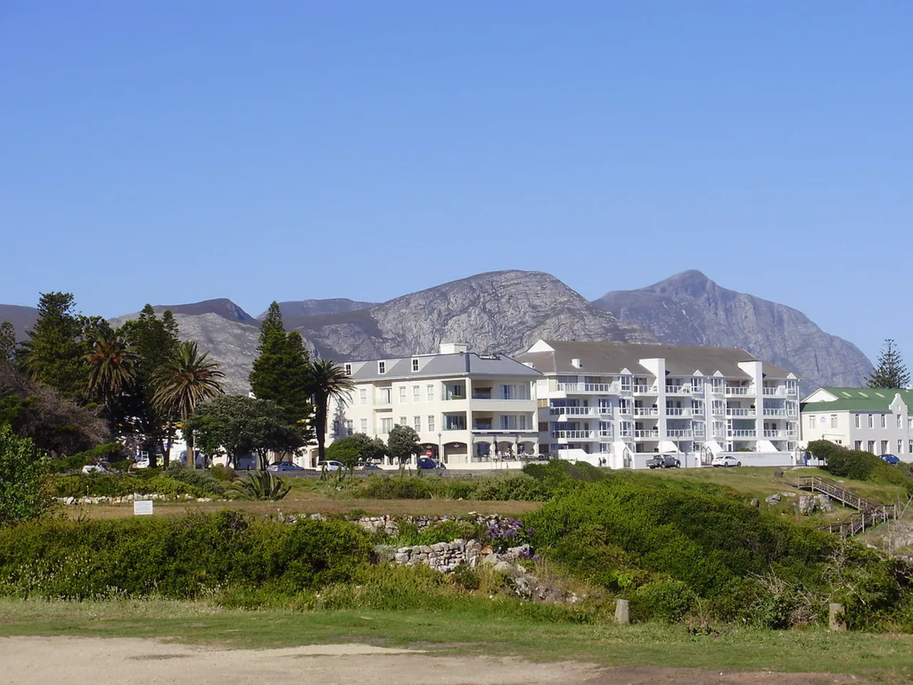 4. Savoring Local Cuisine: Top Restaurants in Hermanus