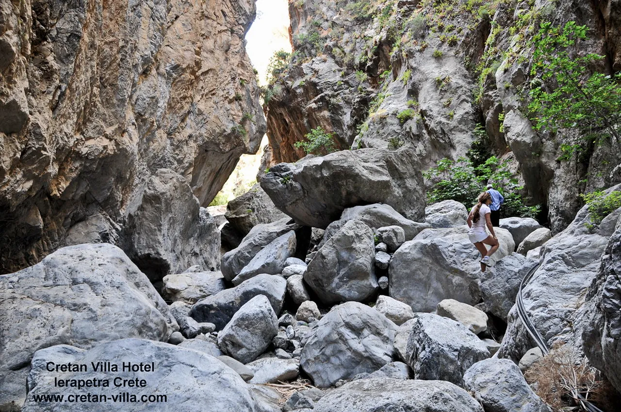 5. Boat Trips to Chrissi Island: A Tropical Escape