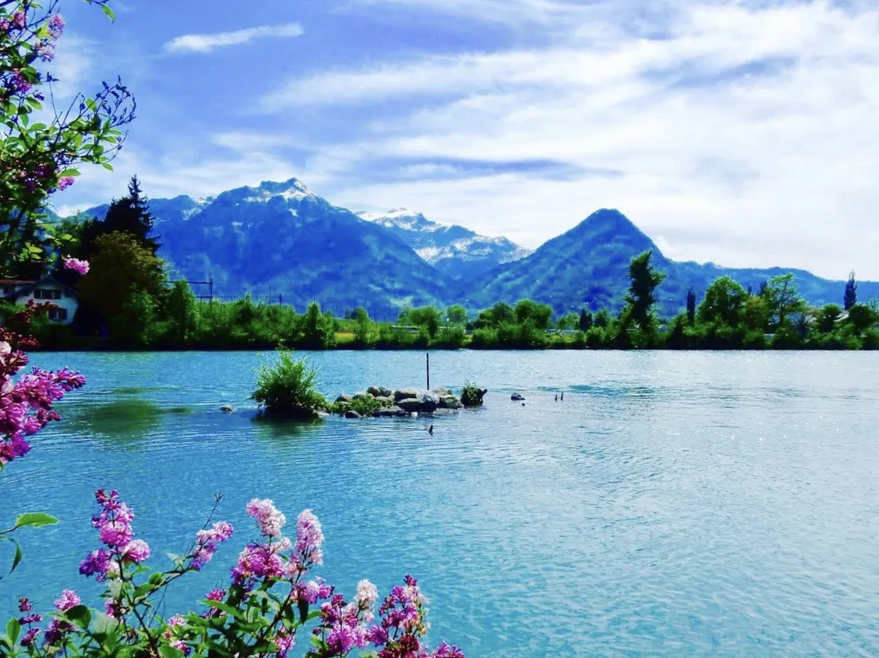 1. Skydiving Over the Swiss Alps: A Thrilling Adventure