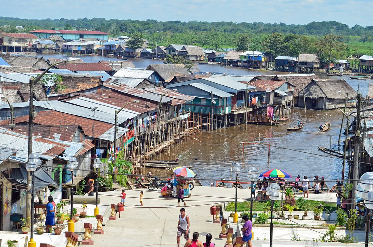 1. Spotting Wildlife on a Guided Amazon River Tour